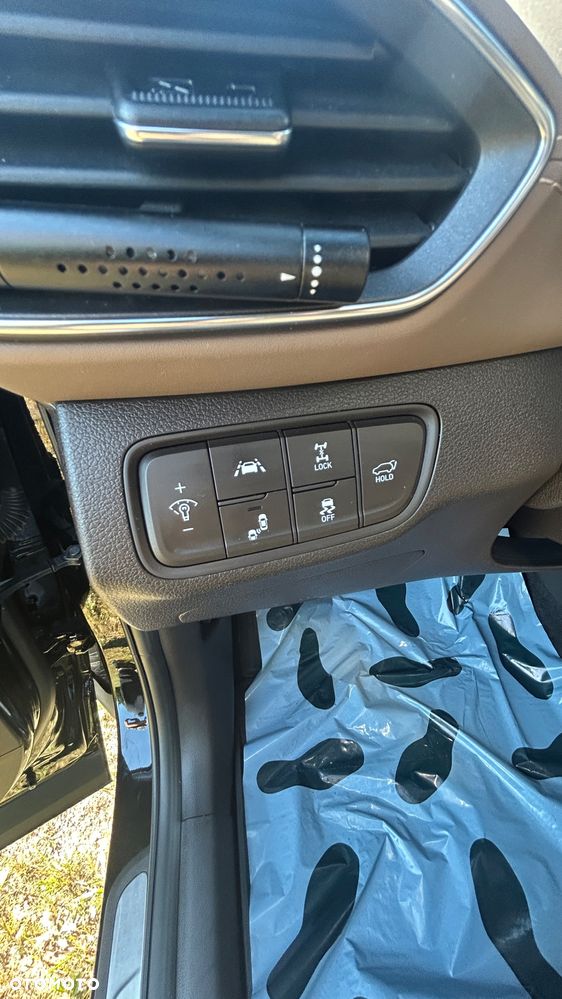 Hyundai Santa Fe 2.0 CRDi Platinum 4WD - 8