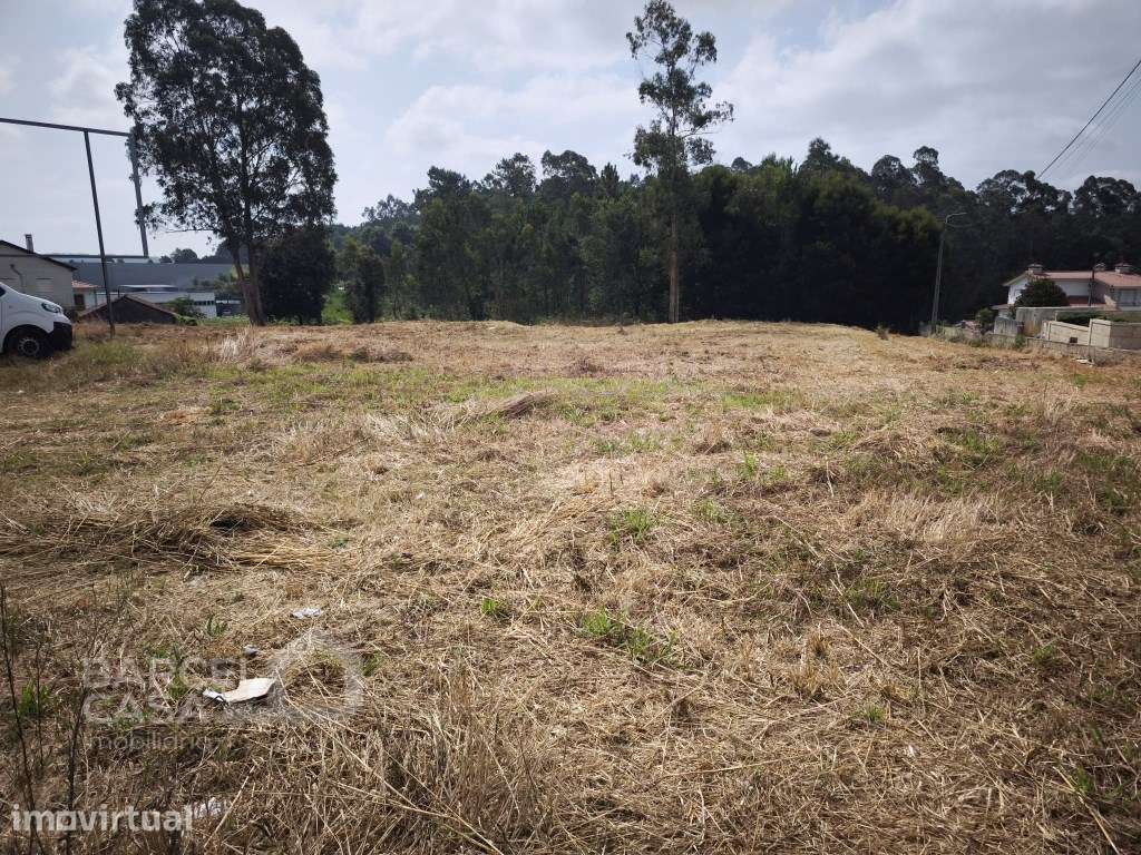 Terreno de construção junto à estrada nacional em Negreiros - Barcelos - Grande imagem: 5/9