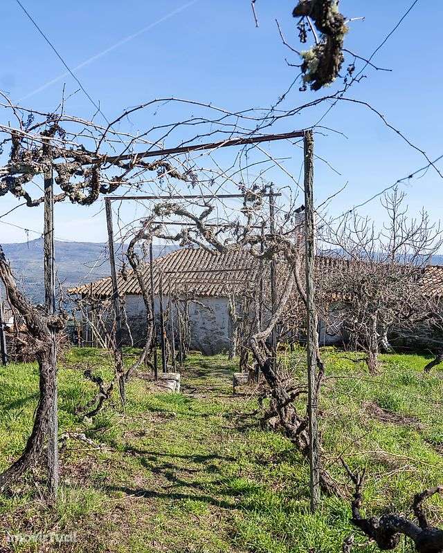 Moradia T4 para venda - Grande imagem: 2/23