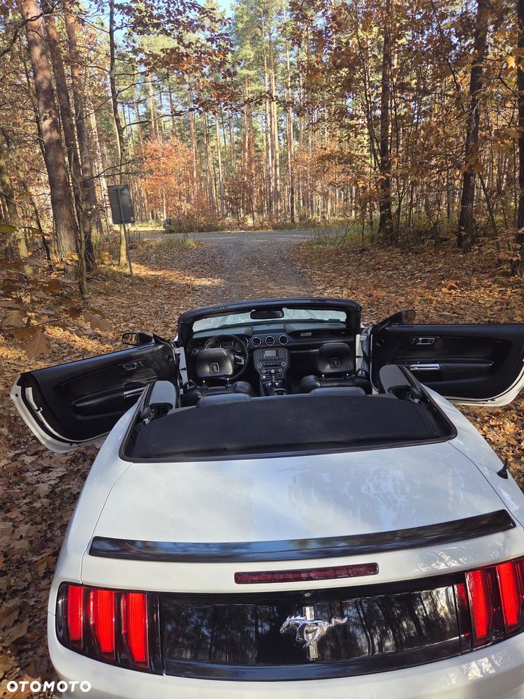 Ford Mustang 3.7 V6 - 7