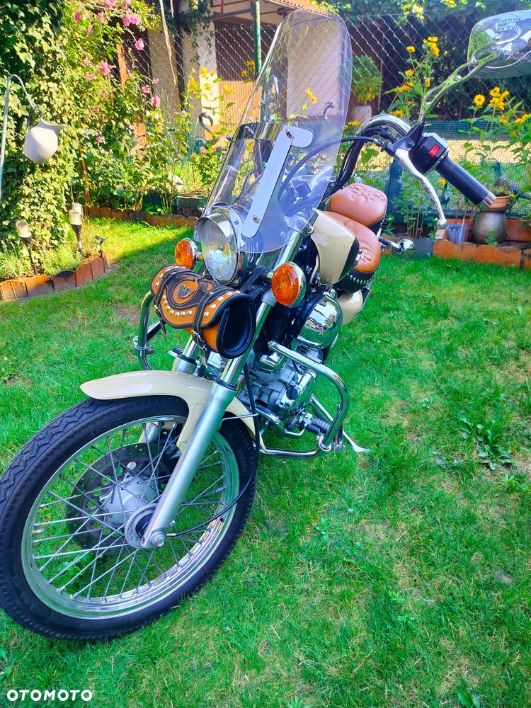 Yamaha Virago - 19