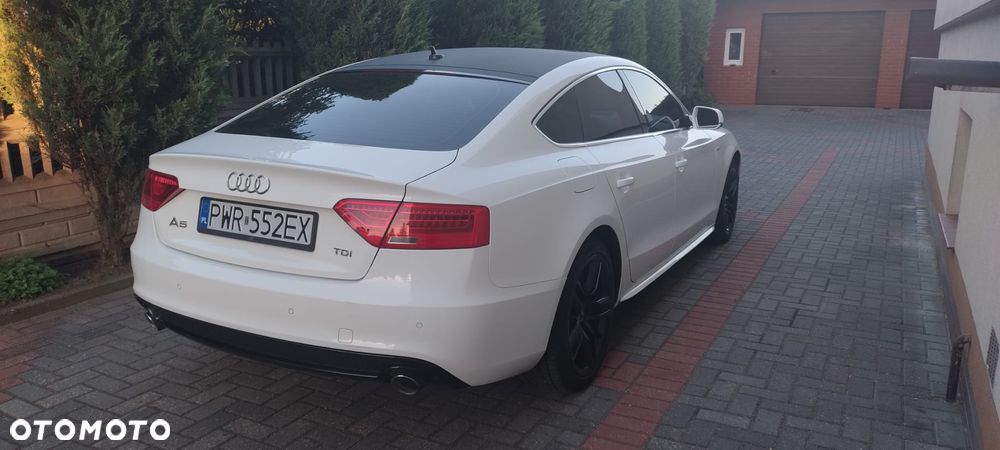 Audi A5 Sportback 3.0 TDI Multitronic - 19