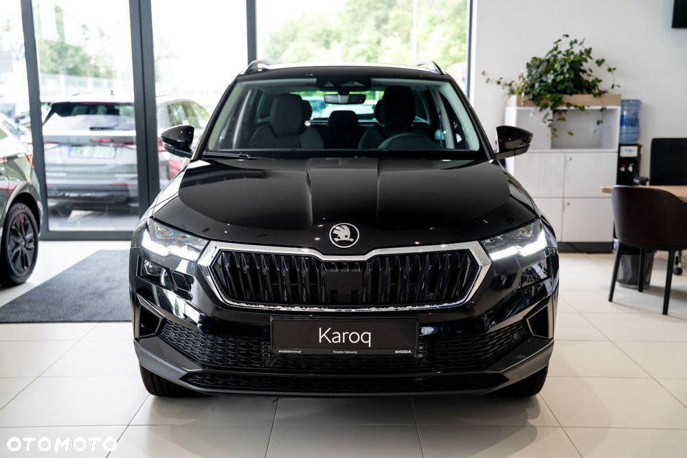 Skoda Karoq - 3