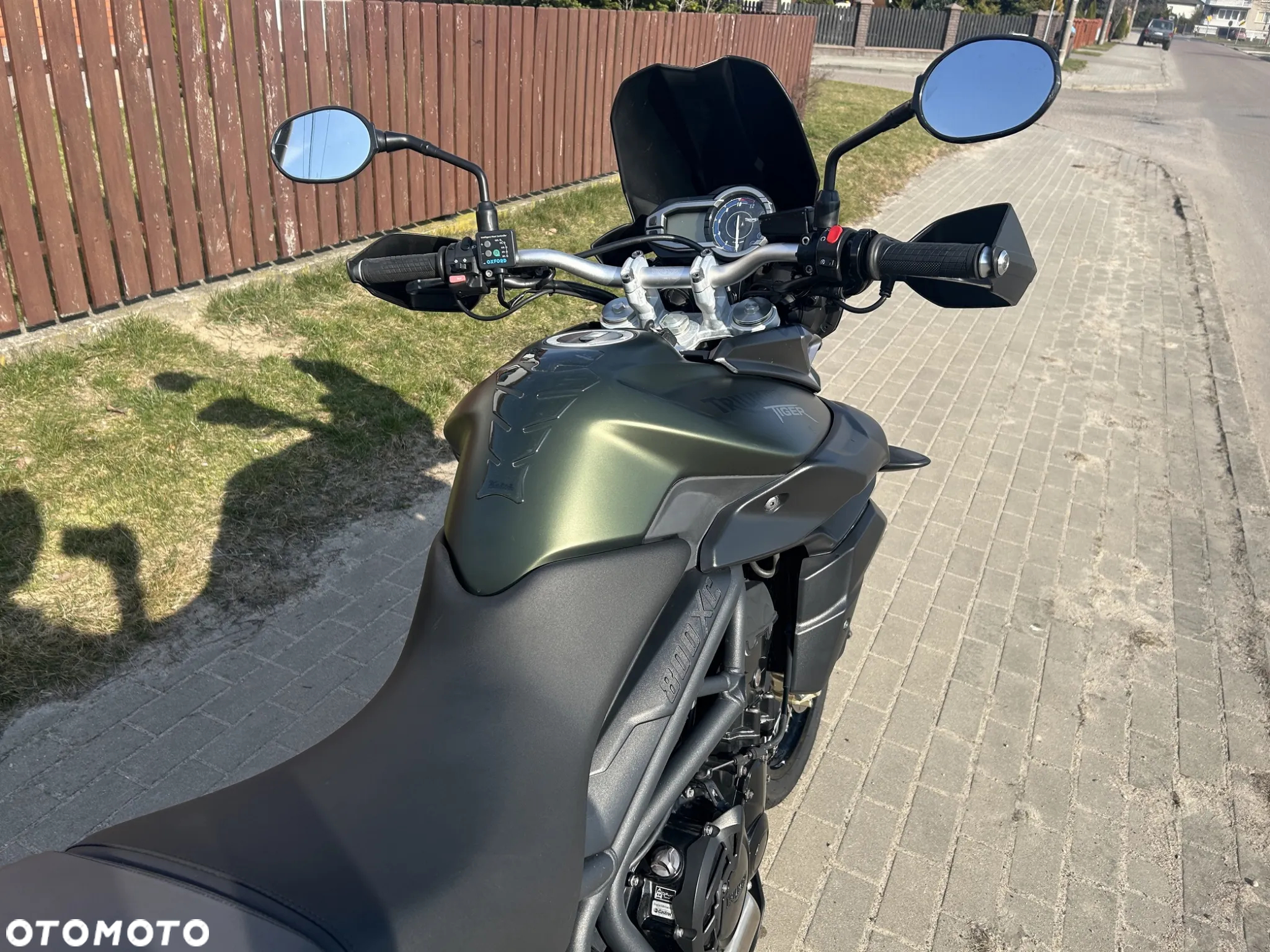Triumph Tiger - 15