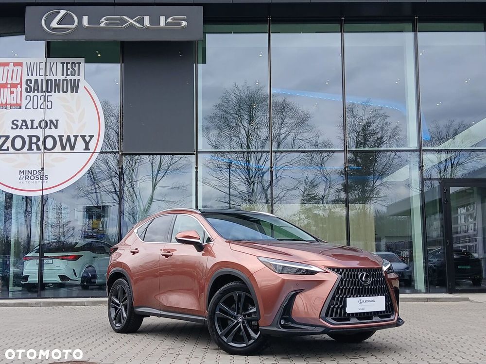 Lexus NX - 1