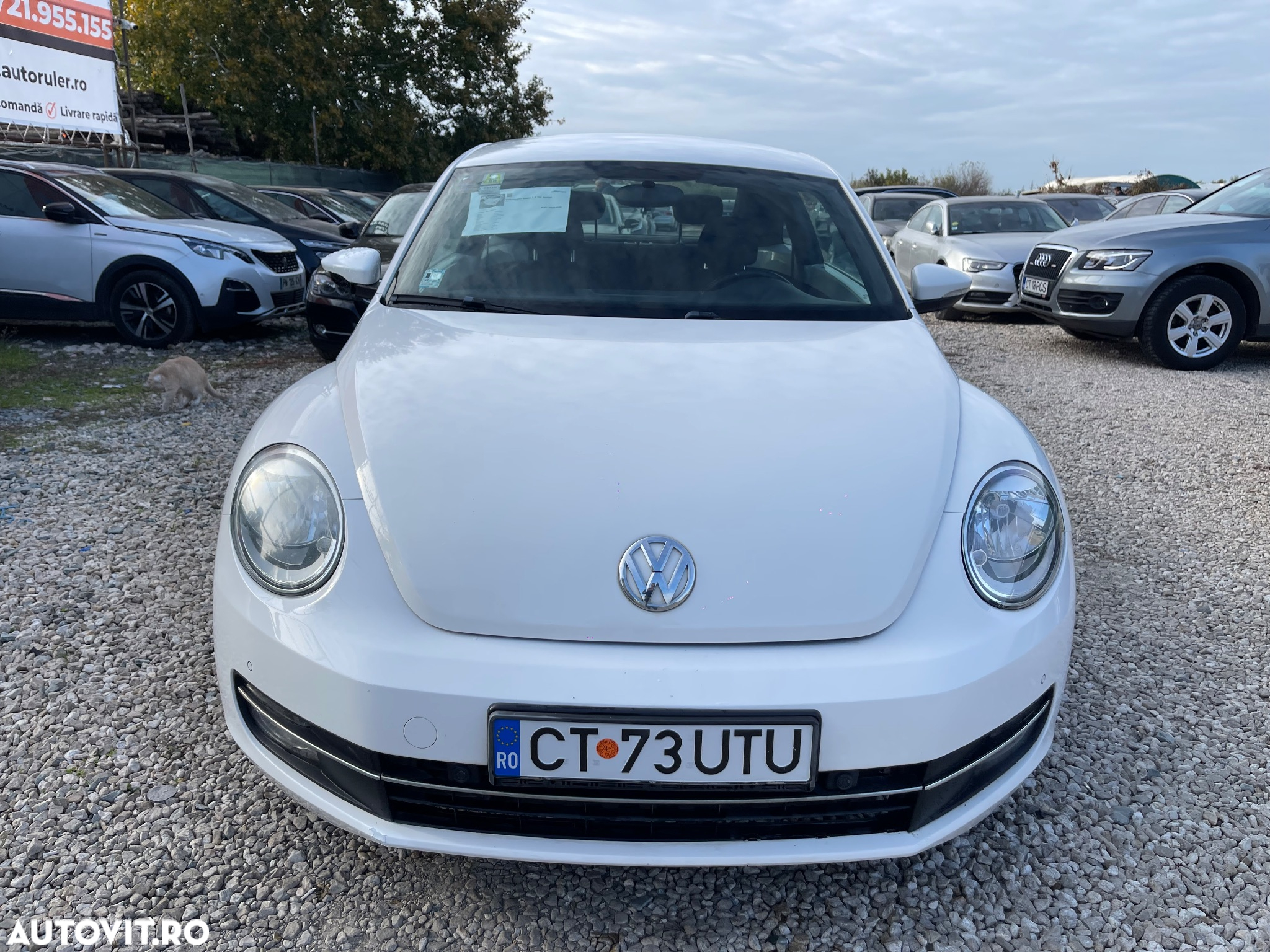 Volkswagen Beetle 1.6 TDI Design - 7