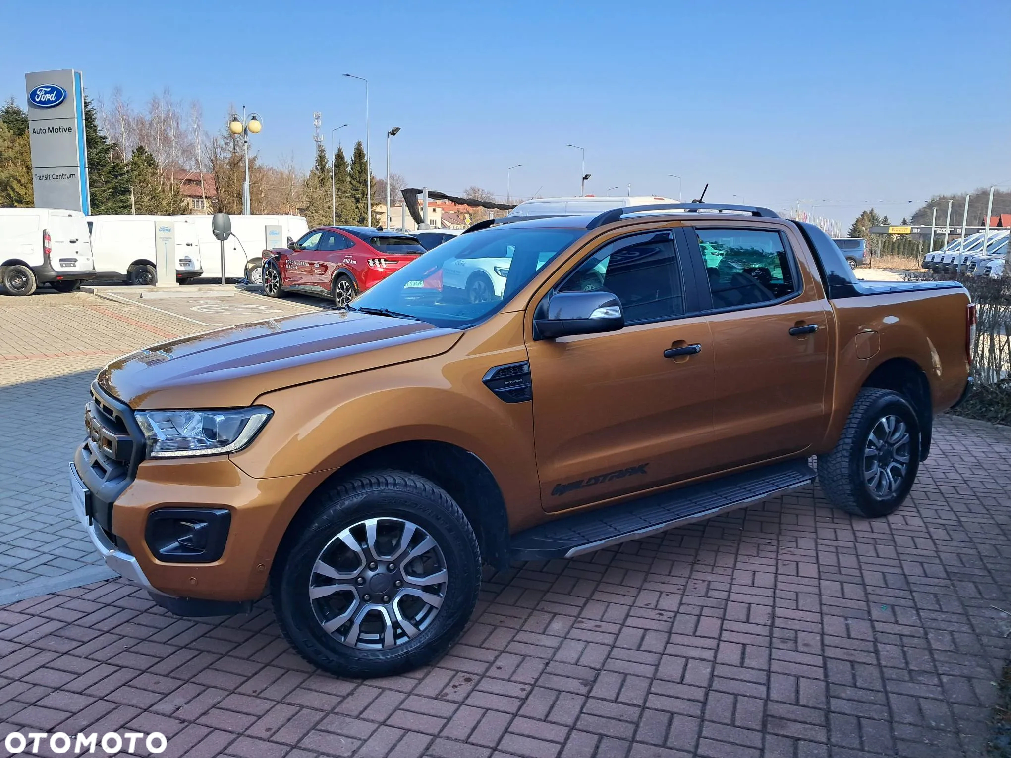 Ford Ranger 2.0 EcoBlue 4x4 DC Wildtrak - 9