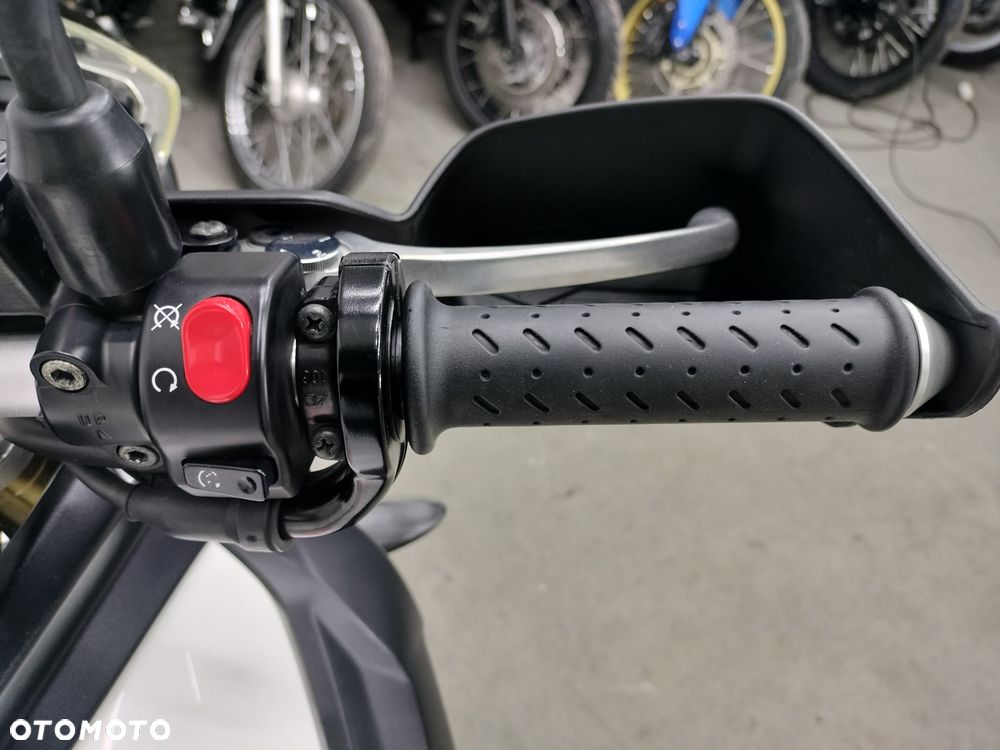 Triumph Tiger - 13