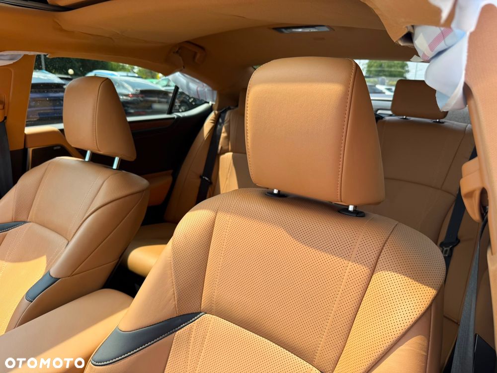 Lexus ES 300h Omotenashi - 30