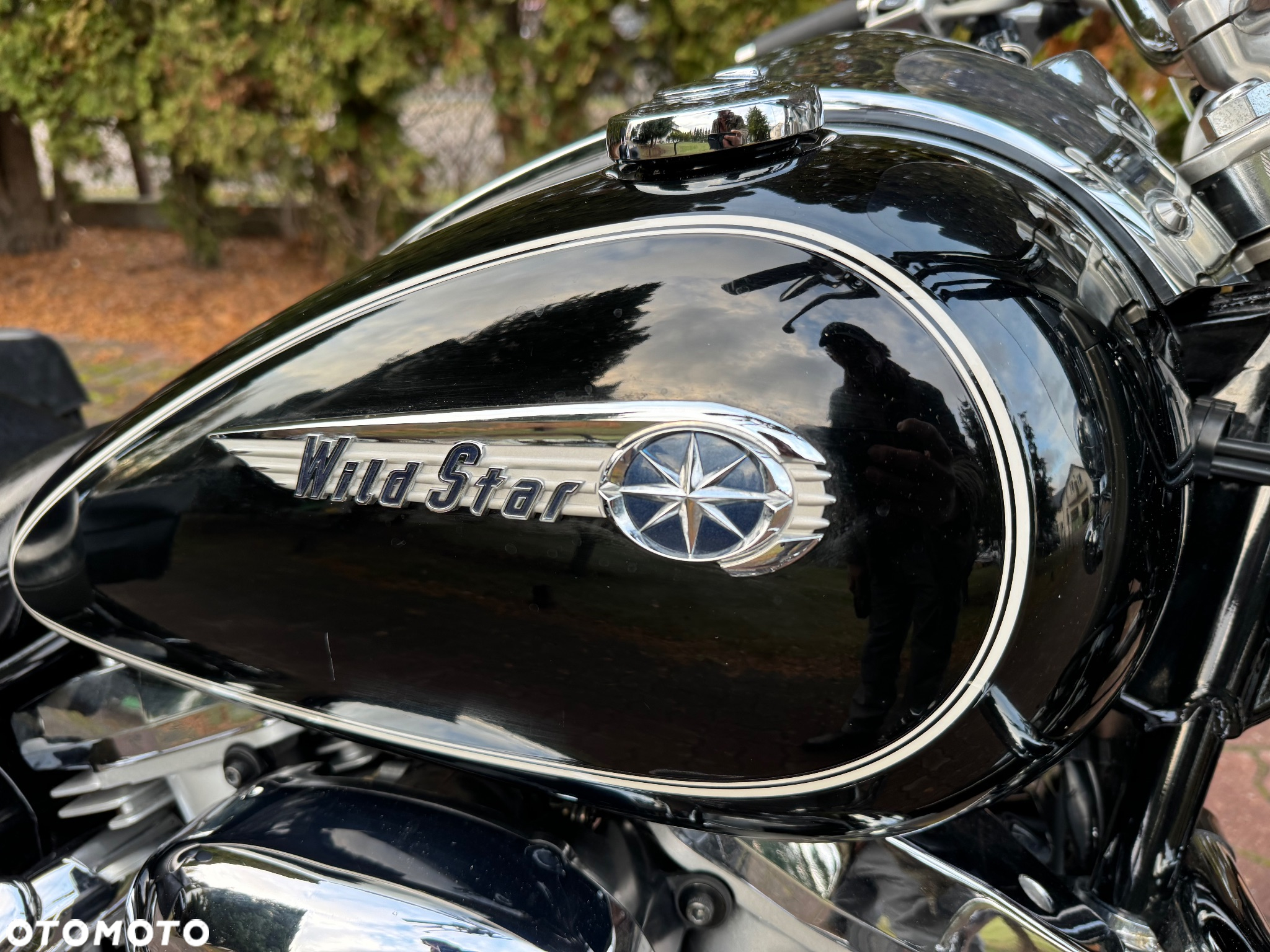 Yamaha Wild star - 22