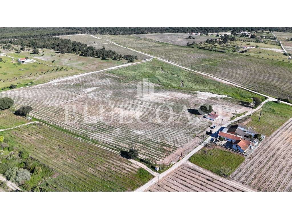 Oportunidade de Investimento - Terreno no Poceirão com 6 hectares - Grande imagem: 3/10