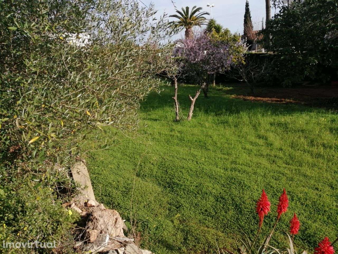 Terreno para construcao de imovel habitacional- Calçada- S.B. Alportel - Grande imagem: 4/11