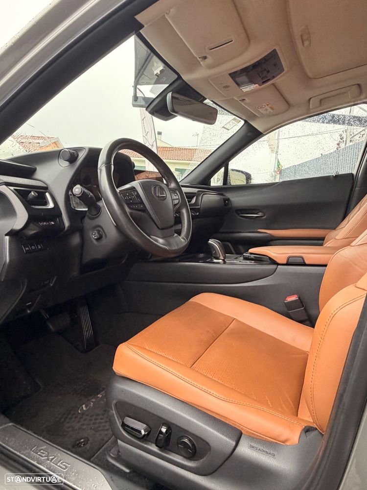 Lexus UX 300e - 13
