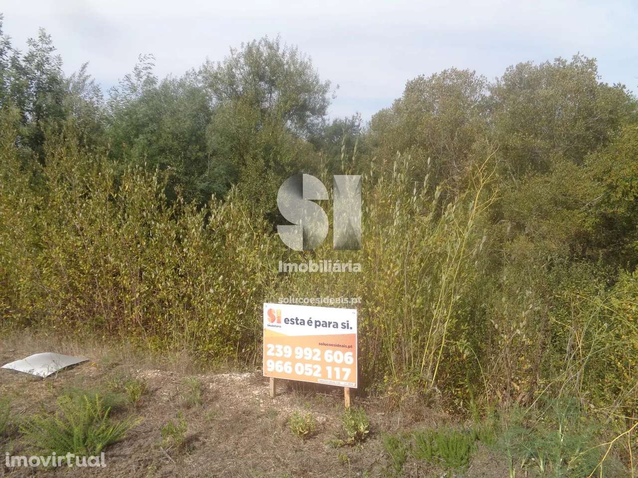 Terreno em Vila nova de poiares - Grande imagem: 5/16