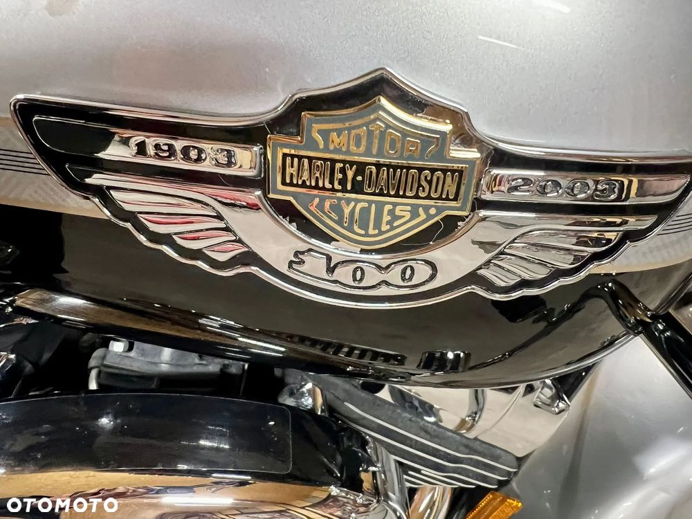 Harley-Davidson Inny - 37