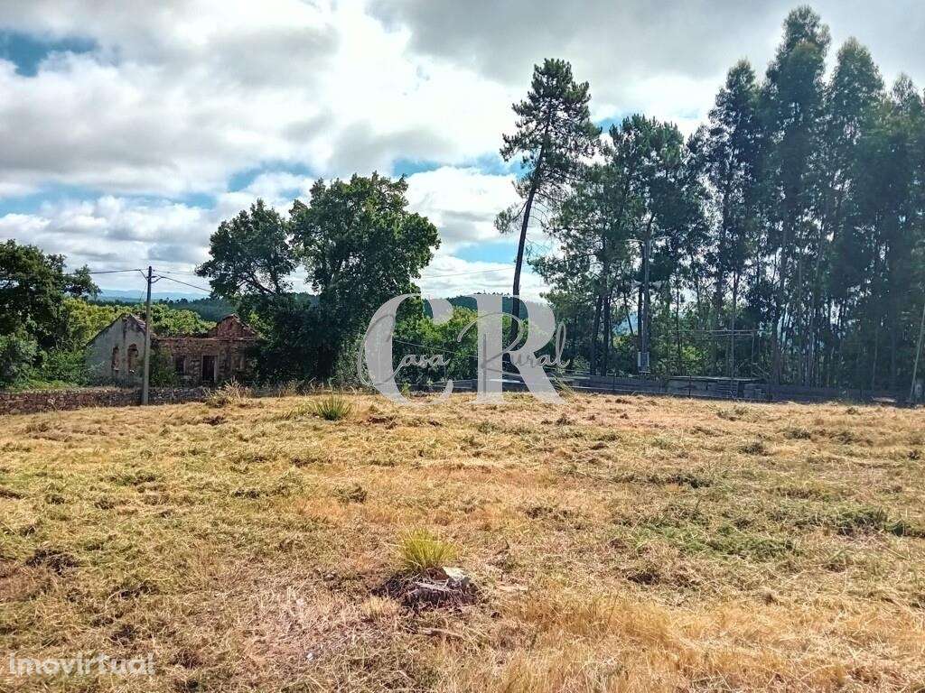 Terreno Rústico em Bairradas, Figueiró dos Vinhos, com viabilidade par - Grande imagem: 5/12