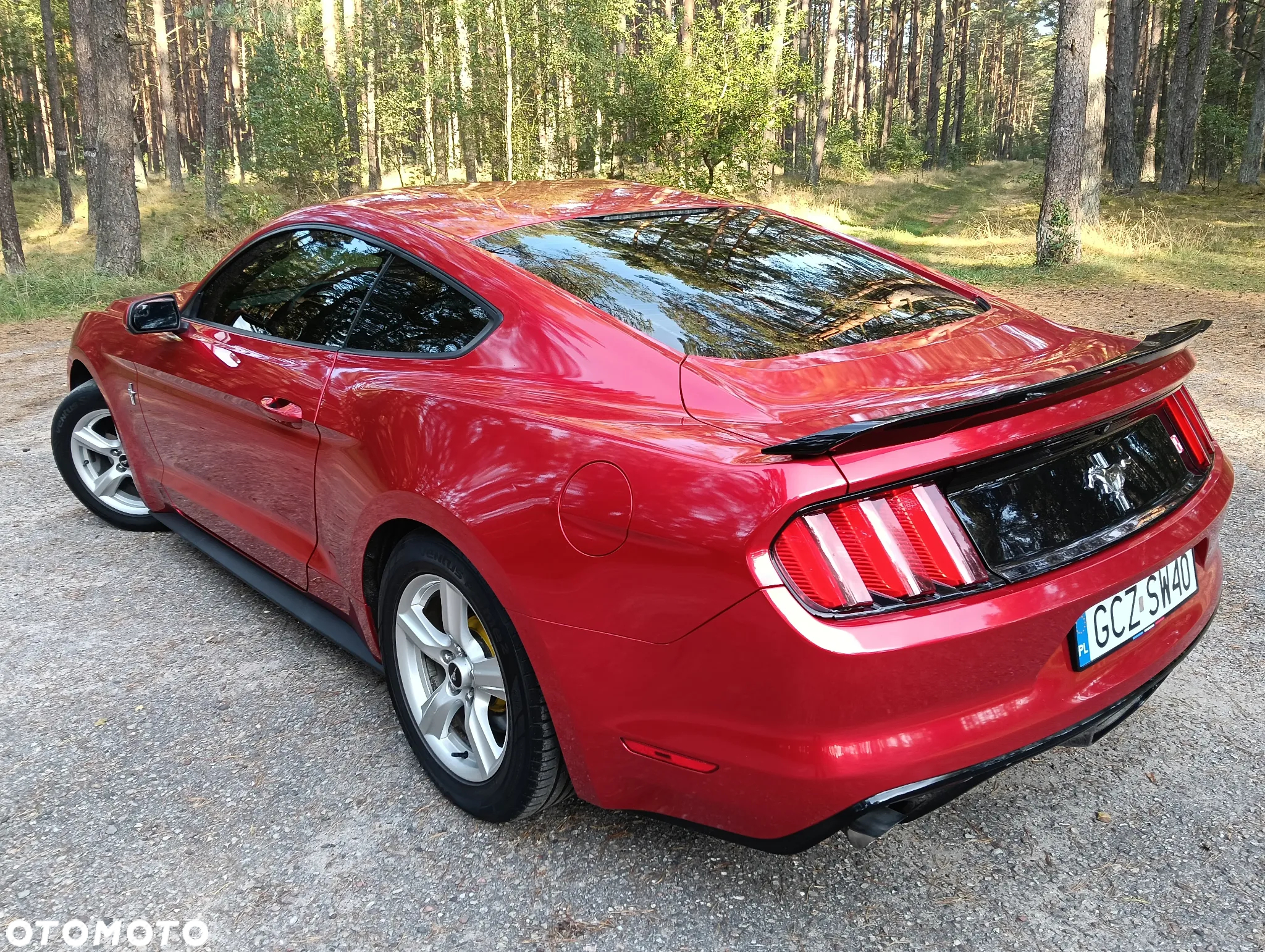 Ford Mustang - 6