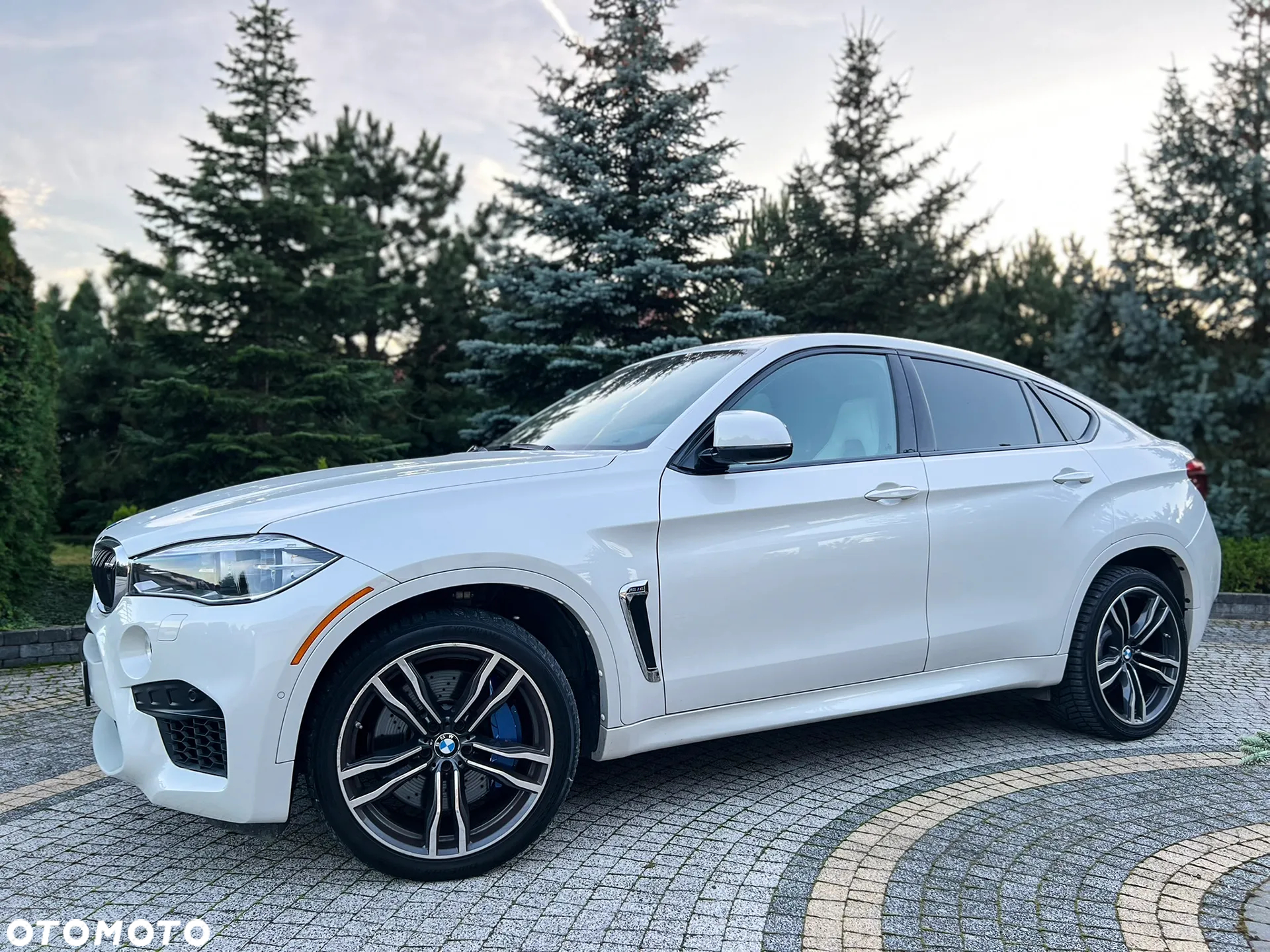 BMW X6M Standard - 6