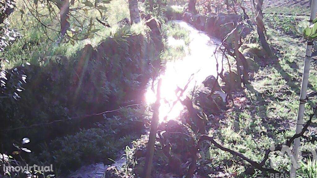 Terreno Agrícola em Moimenta da Serra e Vinhó de 2126,00 m2 - Grande imagem: 2/24