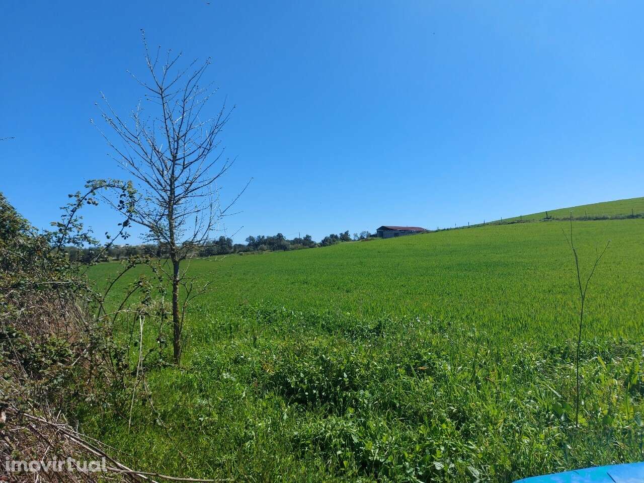 Venda Judicial Terreno Rústico Presa-Covinhas Castro Vicente - Grande imagem: 2/15