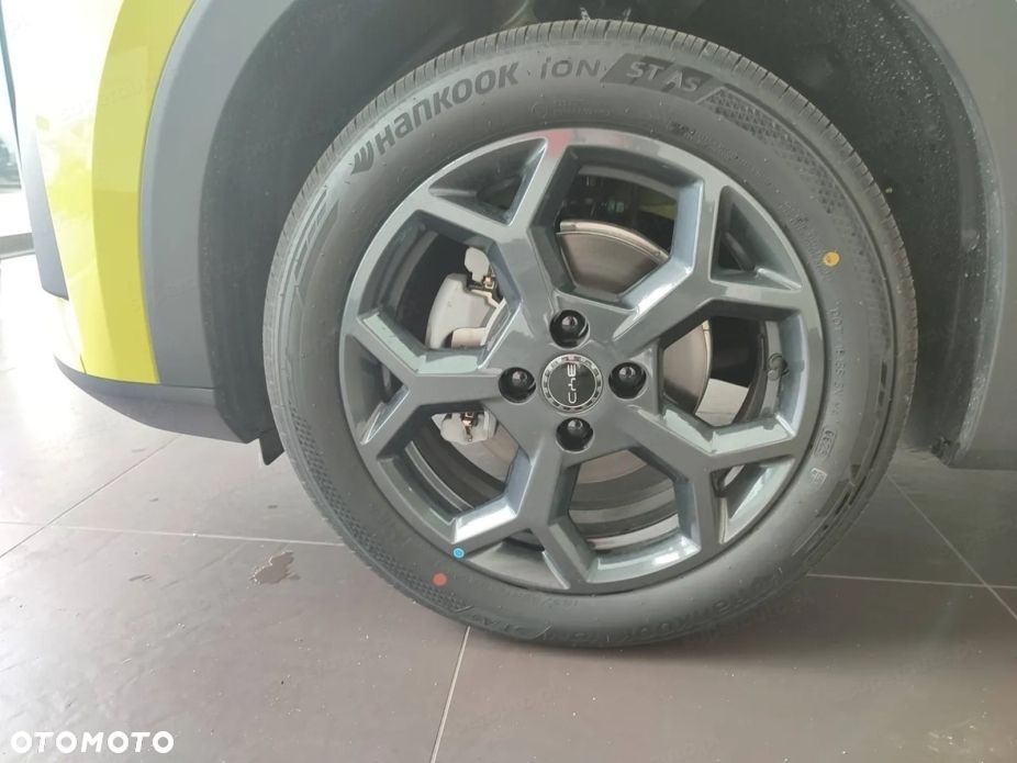 BYD Dolphin Surf - 19