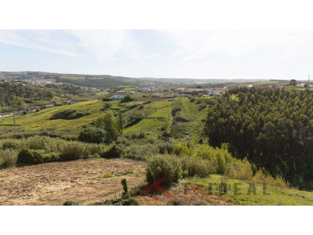 Moradia T3 Térrea perto da Lourinhã - Grande imagem: 5/8