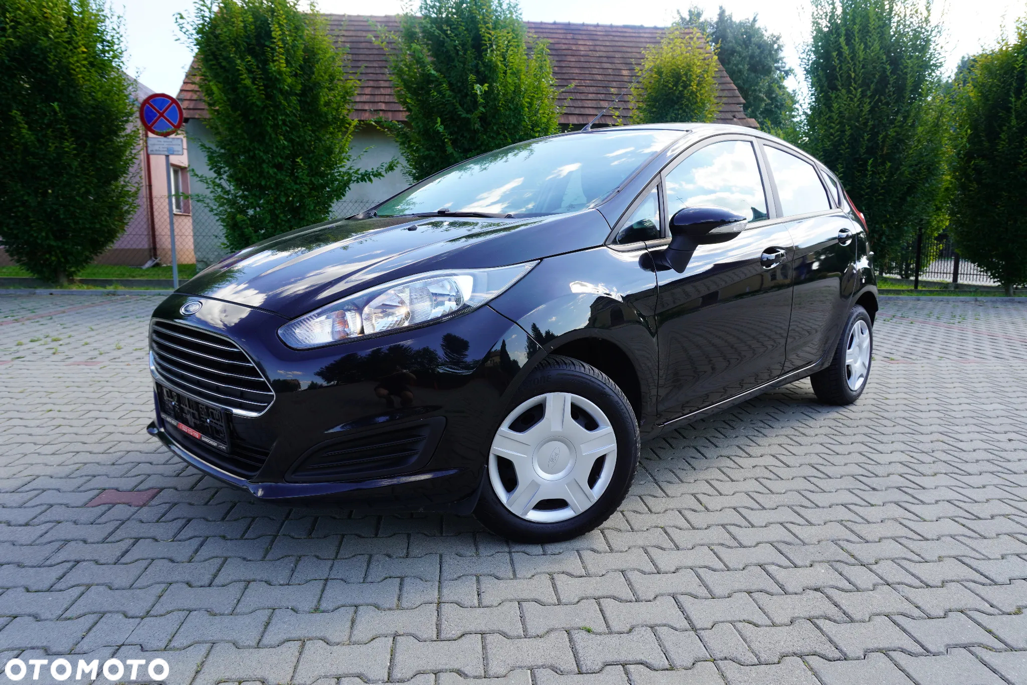 Ford Fiesta 1.25 Silver X (Ambiente) EU6 - 12
