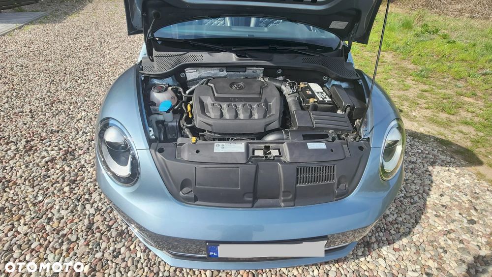 Volkswagen Beetle - 10