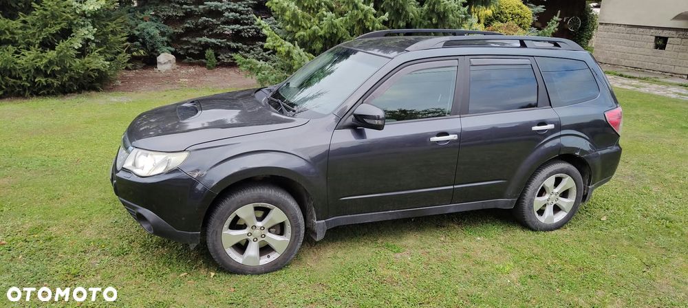 Subaru Forester - 7