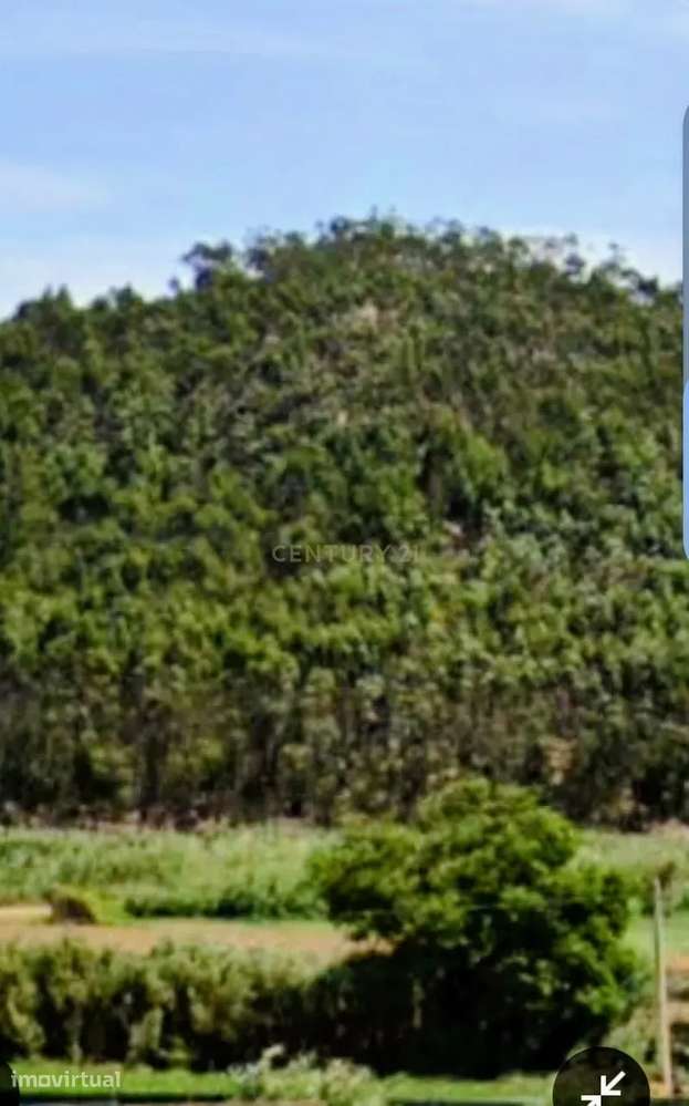 Excelente oportunidade de investimento em Torres Vedras - Grande imagem: 3/3
