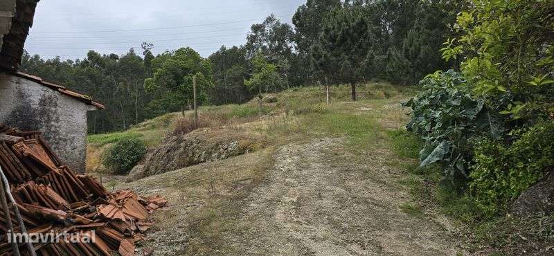 Quinta com 2 casas, tem 10 hectares de terreno - Grande imagem: 5/8