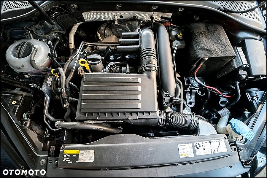 Volkswagen Golf - 39