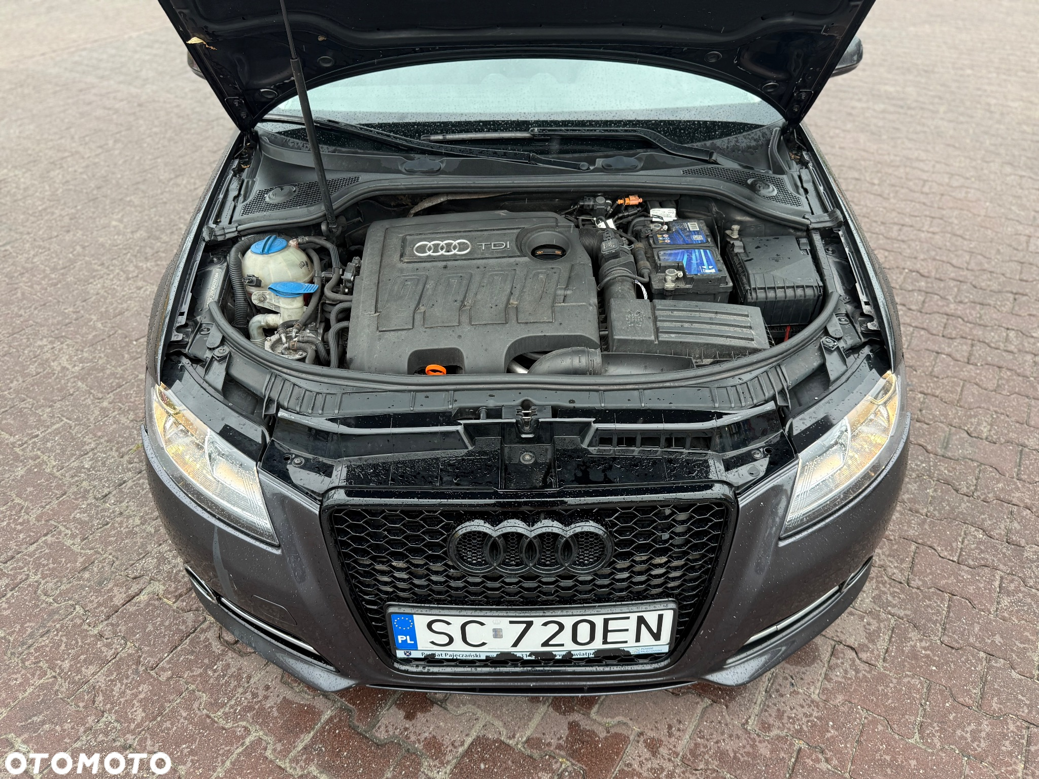 Audi A3 1.6 TDI 99g DPF - 28