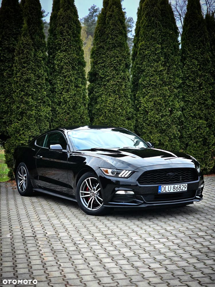 Ford Mustang 3.7 V6 - 1