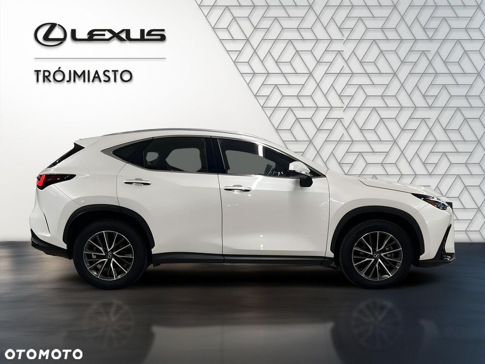 Lexus NX 350h Business AWD - 7