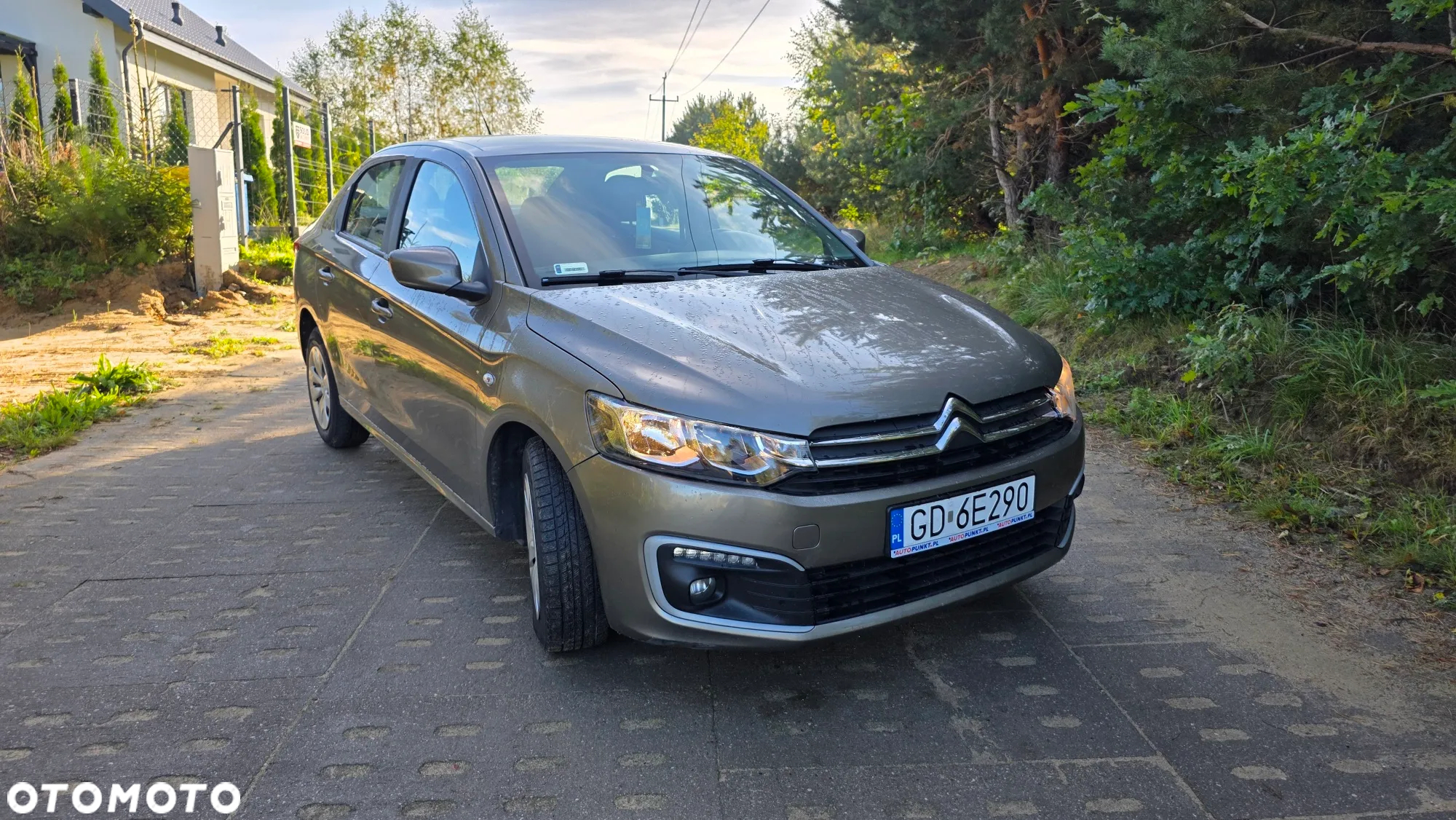 Citroën C-Elysée 1.6 VTi MoreLife - 11