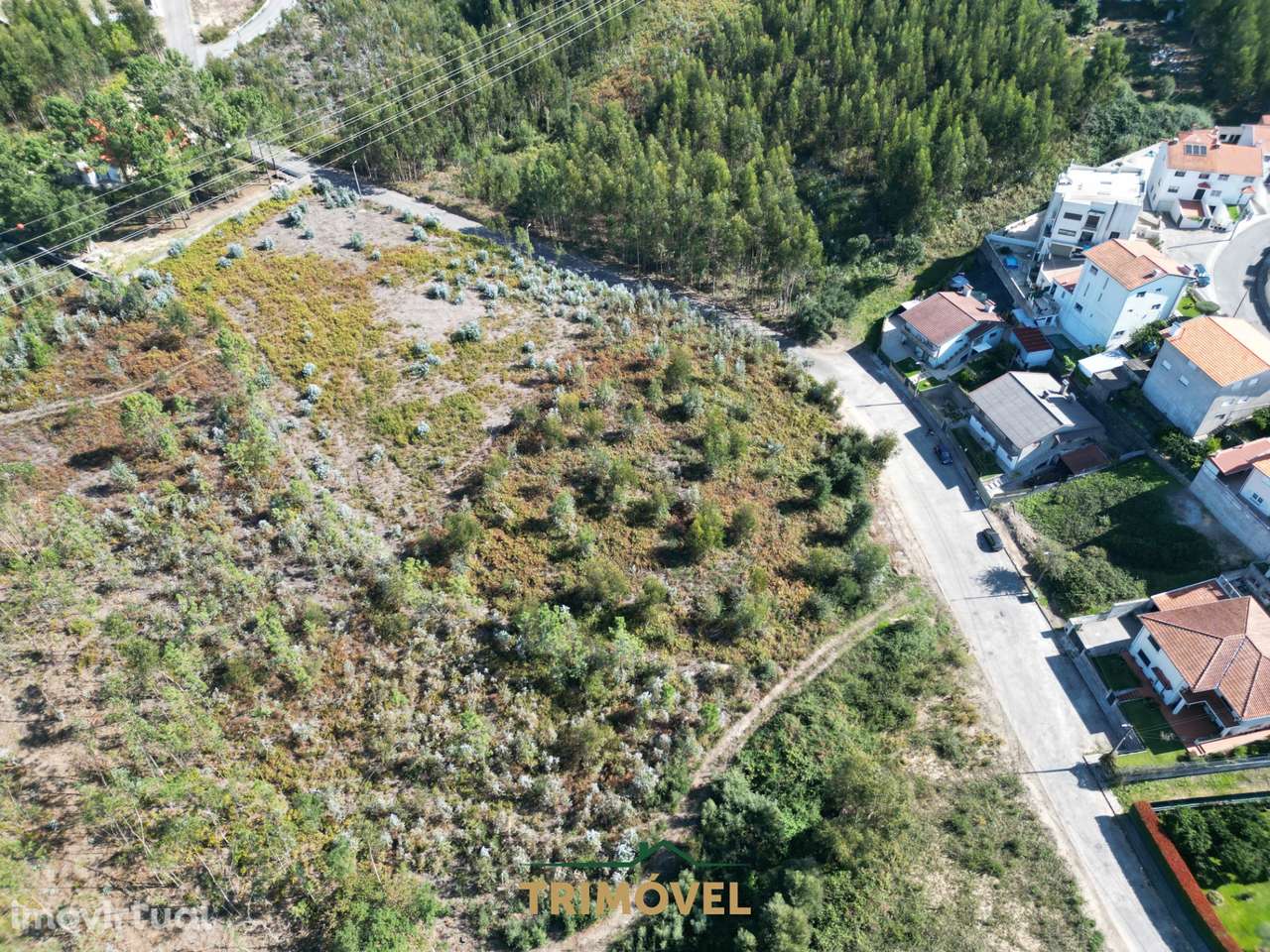 Terreno para construção - Nogueira do Cravo - Grande imagem: 2/13