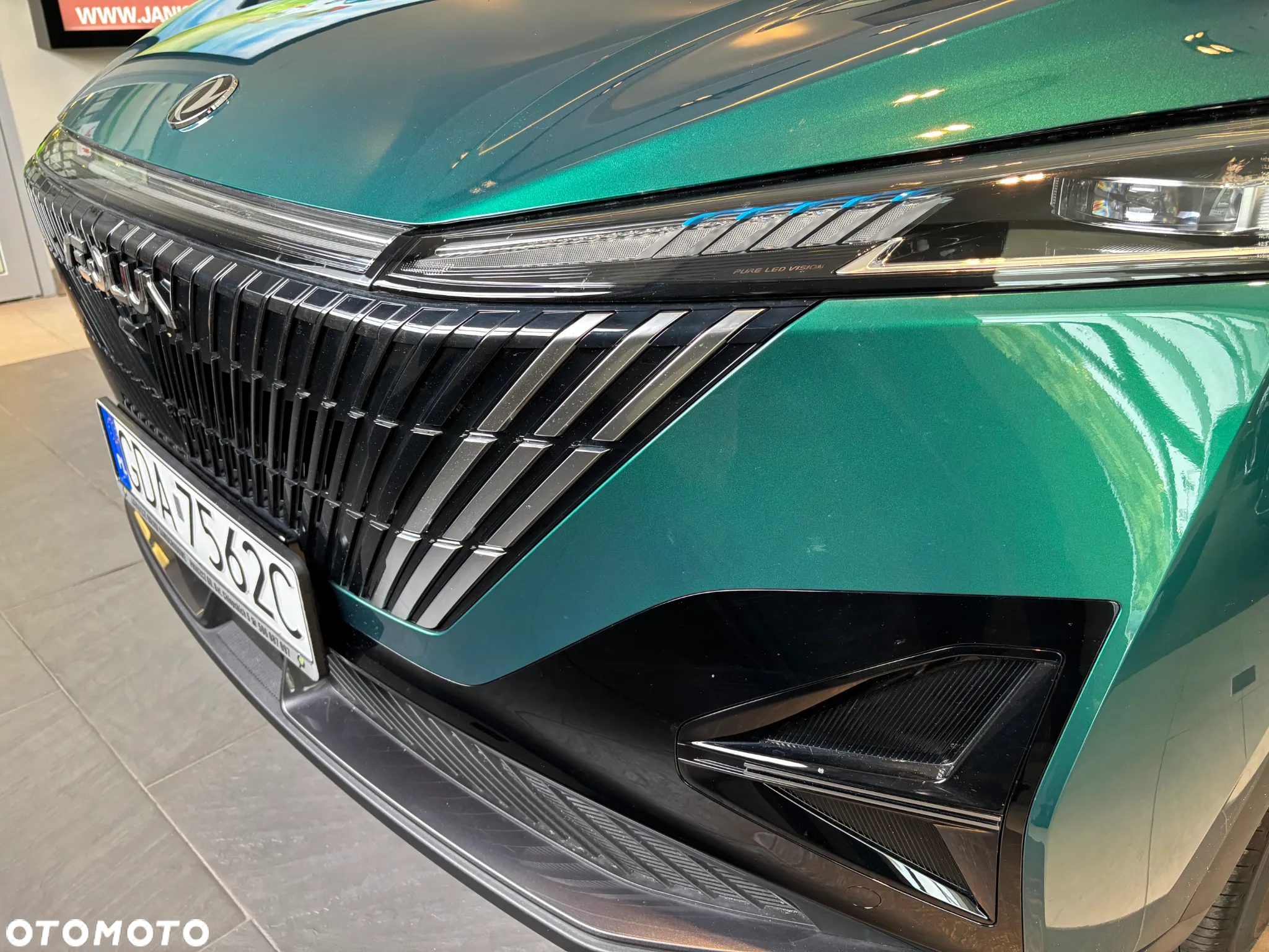 Dongfeng Mage - 11