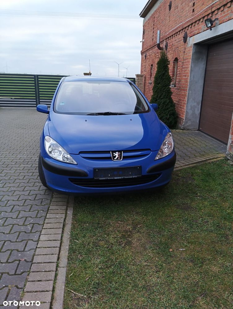 Peugeot 307 1.4 Mistral - 7