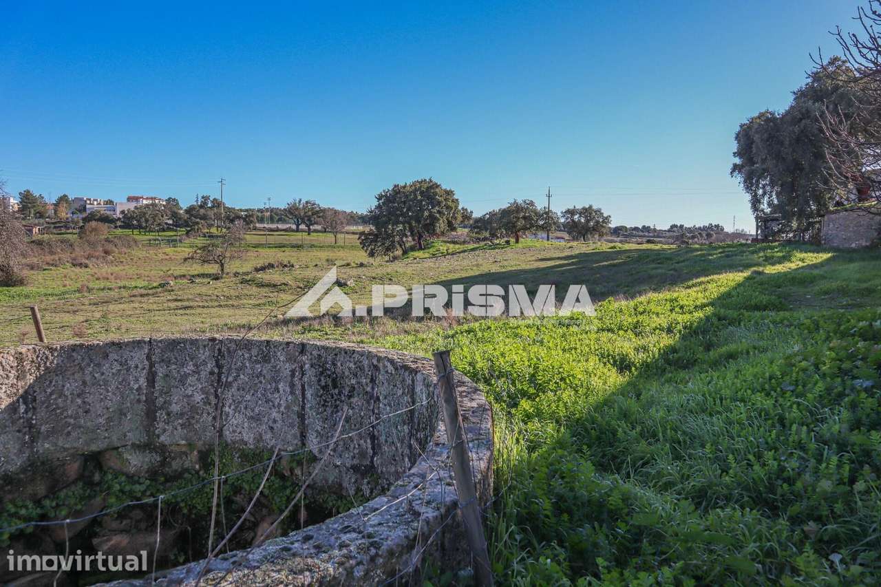 Terreno de 30.000m2 para venda em Alcains - Grande imagem: 2/21