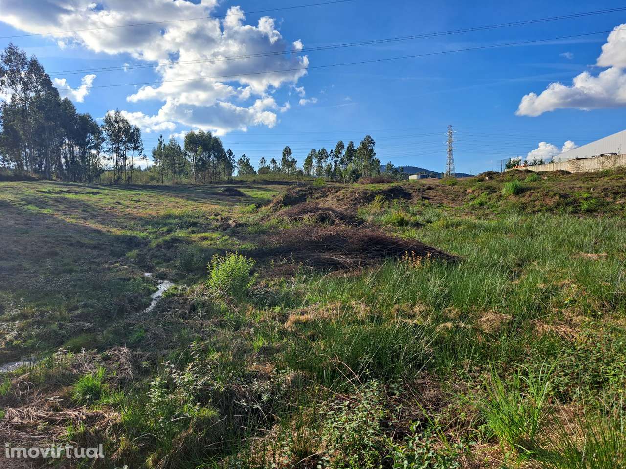 Terreno Industrial 9000m2 - Grande imagem: 5/7