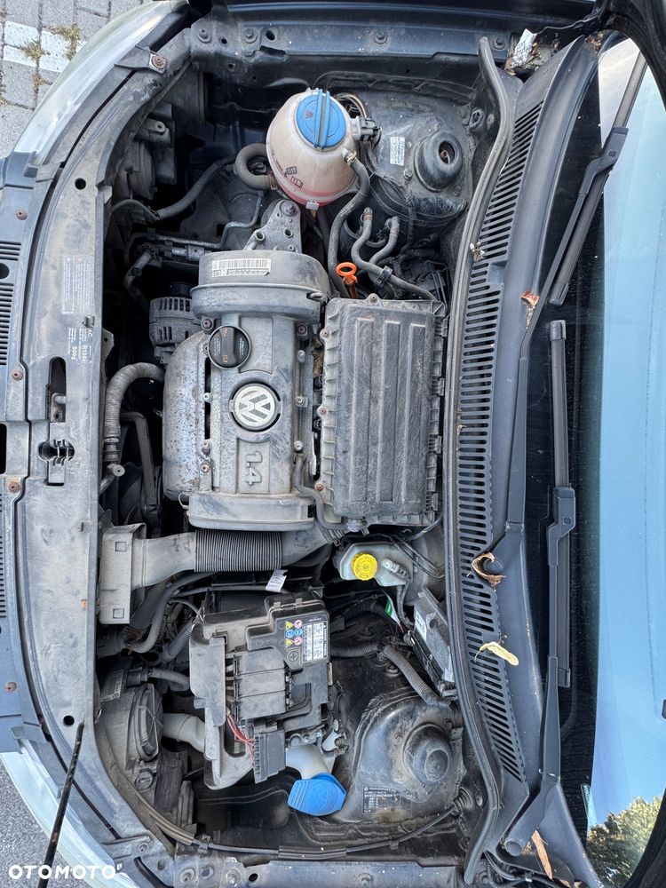 Volkswagen Polo - 13
