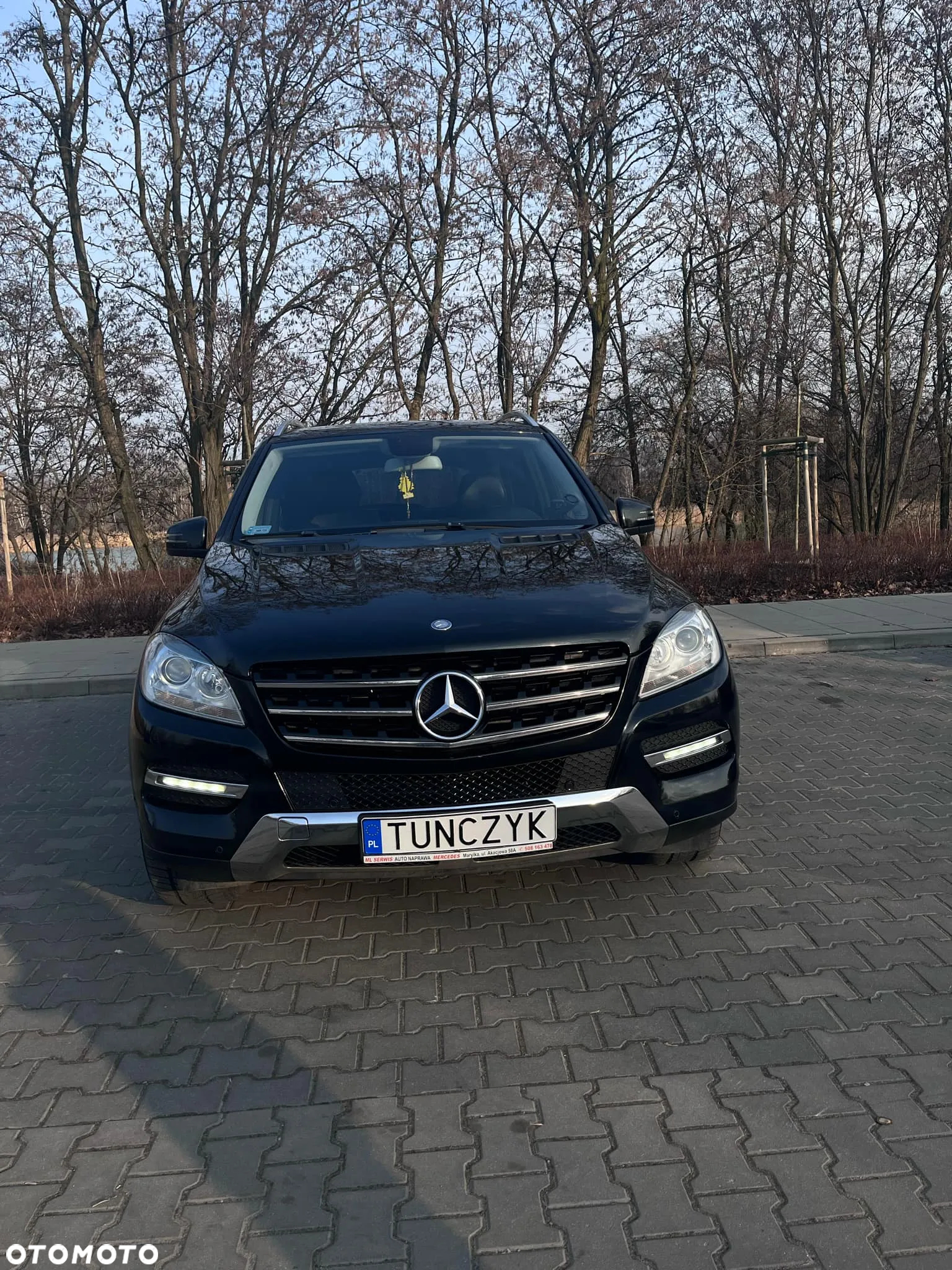 Mercedes-Benz ML 250 BlueTec 4-Matic - 7