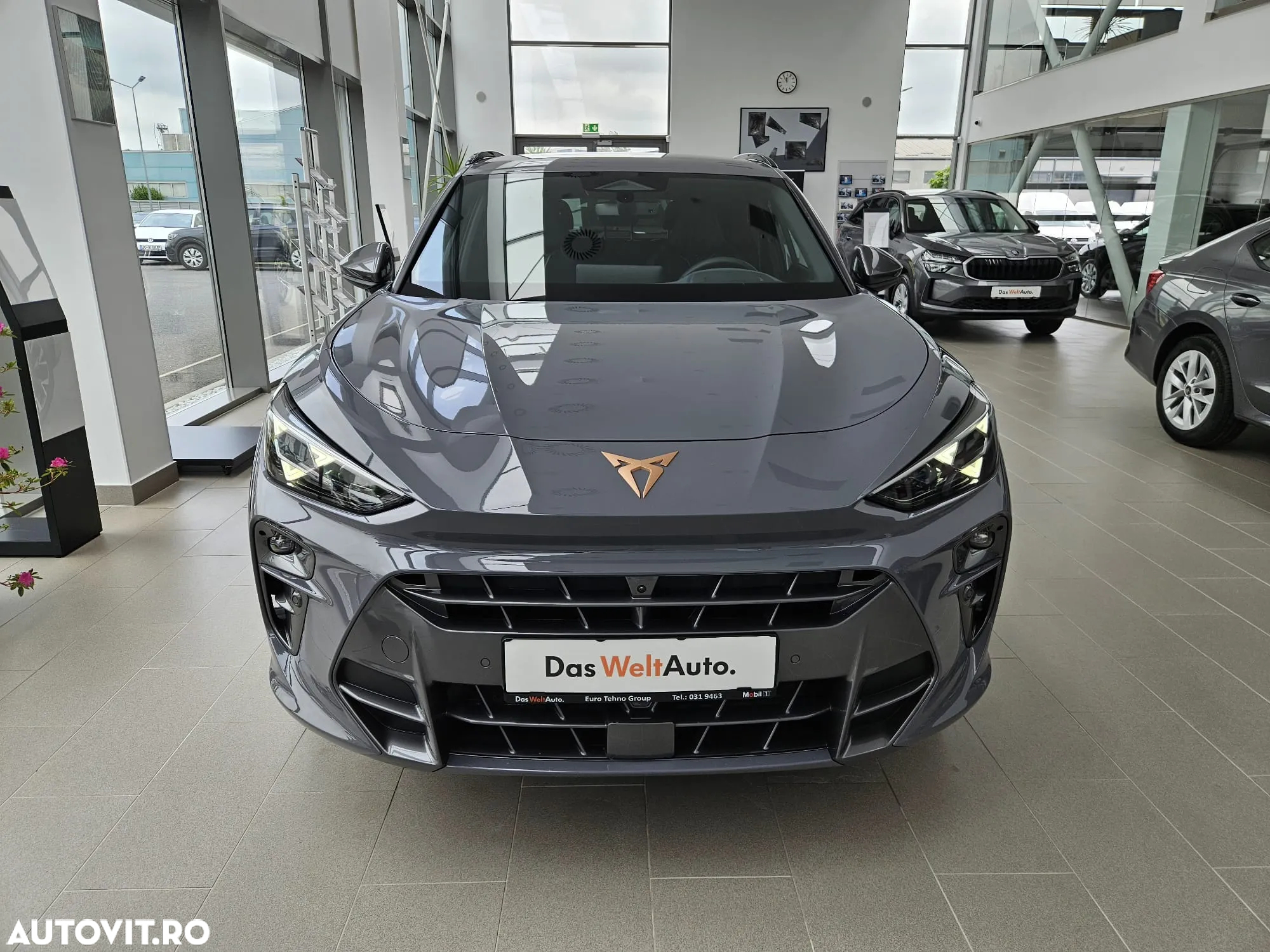 Cupra Terramar - 5
