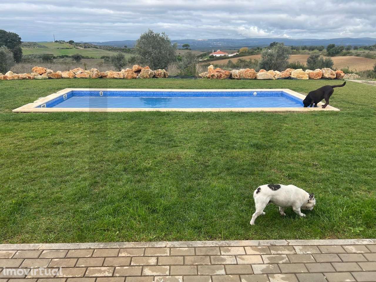 Venda casa de campo T3 com terreno de 11.520m2, Independente com pi - Grande imagem: 2/39