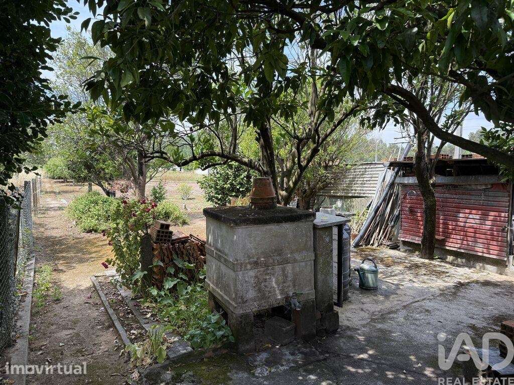 Casa / Villa T4 em Requeixo, Nossa Senhora de Fátima e Nariz de 150 m2 - Grande imagem: 5/38