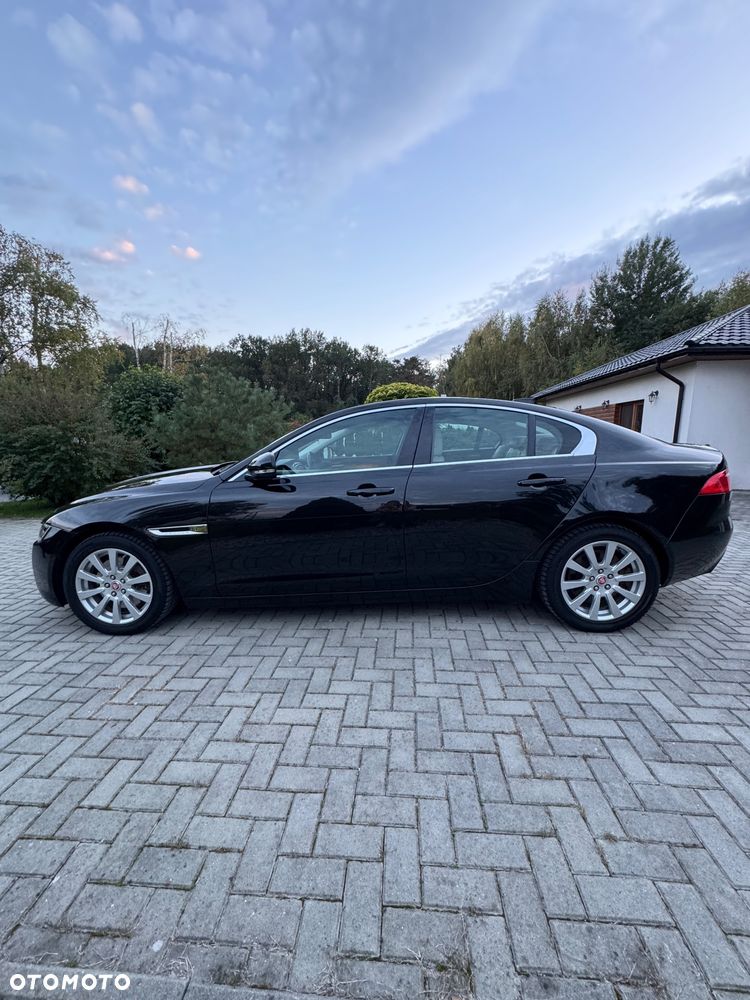 Jaguar XE - 6