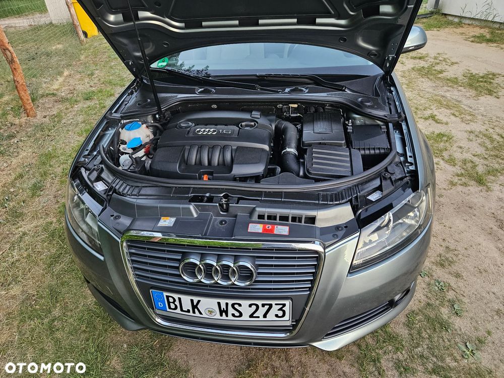 Audi A3 Sportback 1.6 Prime Line - 18