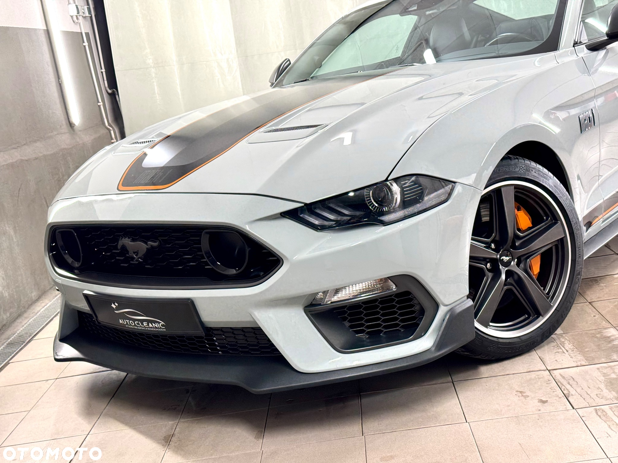 Ford Mustang 5.0 V8 Mach 1 - 5