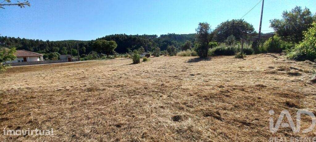 Terreno para construção em Graça - Grande imagem: 4/5
